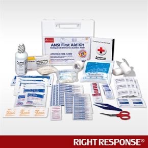 25 Person Workplace ANSI Kit